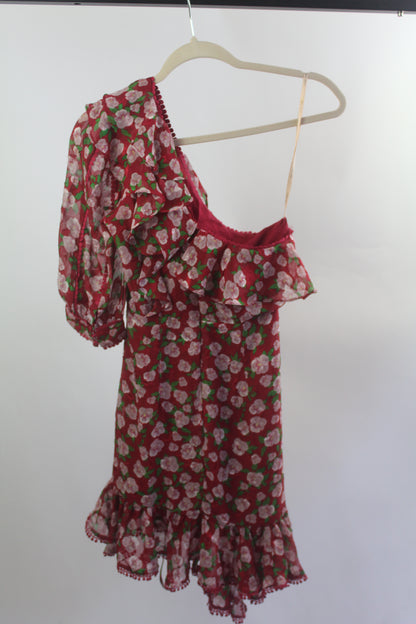 Women's Dark Pink Red/Pink Floral Dress Size 2