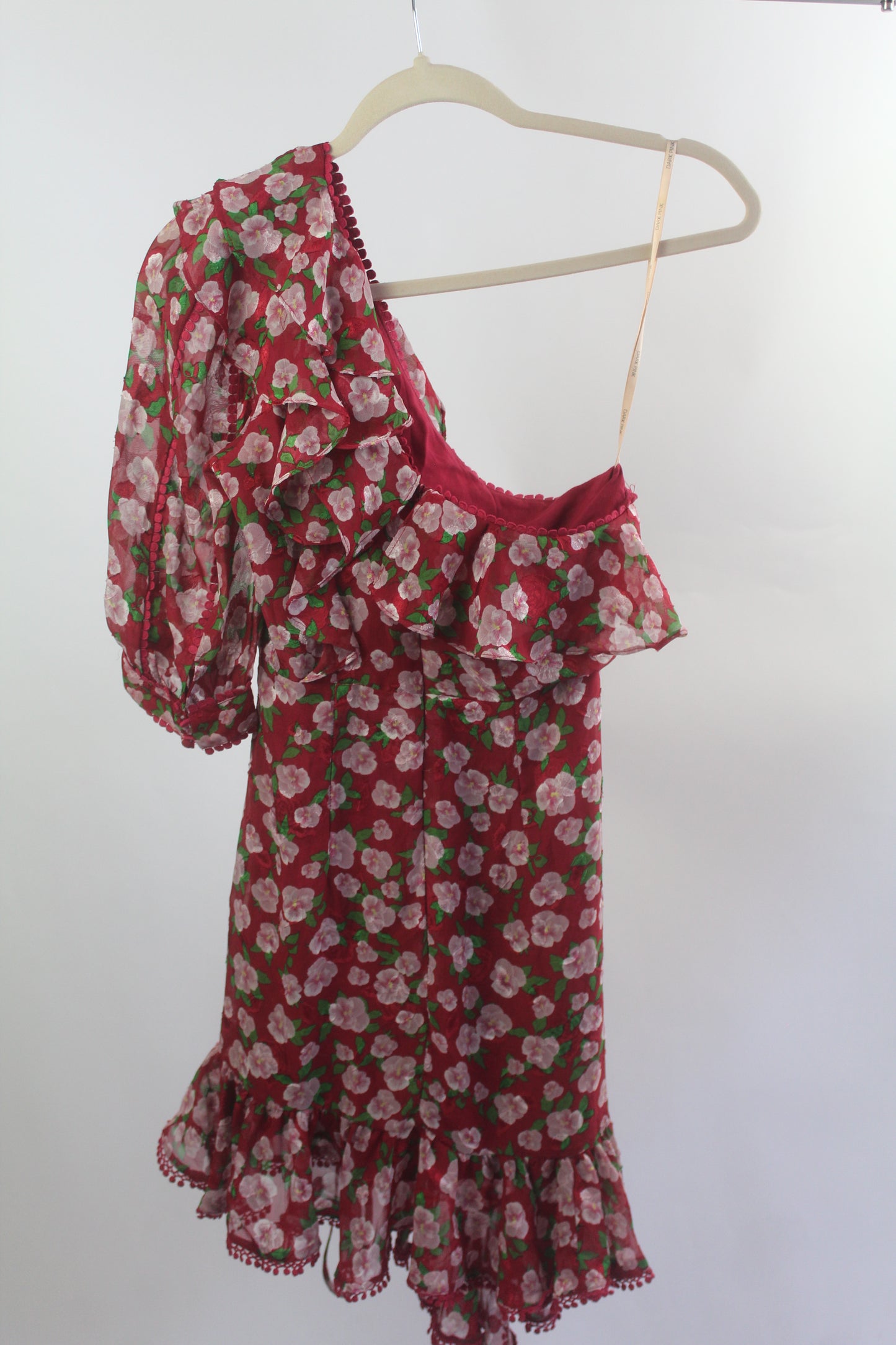 Women's Dark Pink Red/Pink Floral Dress Size 2
