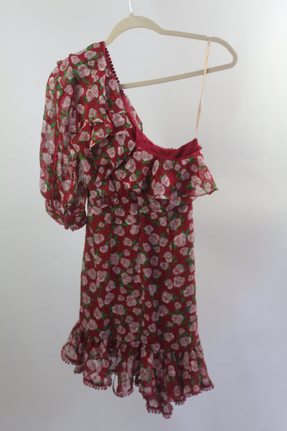 Women's Dark Pink Red/Pink Floral Dress Size 2