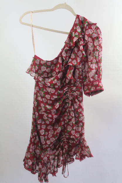 Women's Dark Pink Red/Pink Floral Dress Size 2