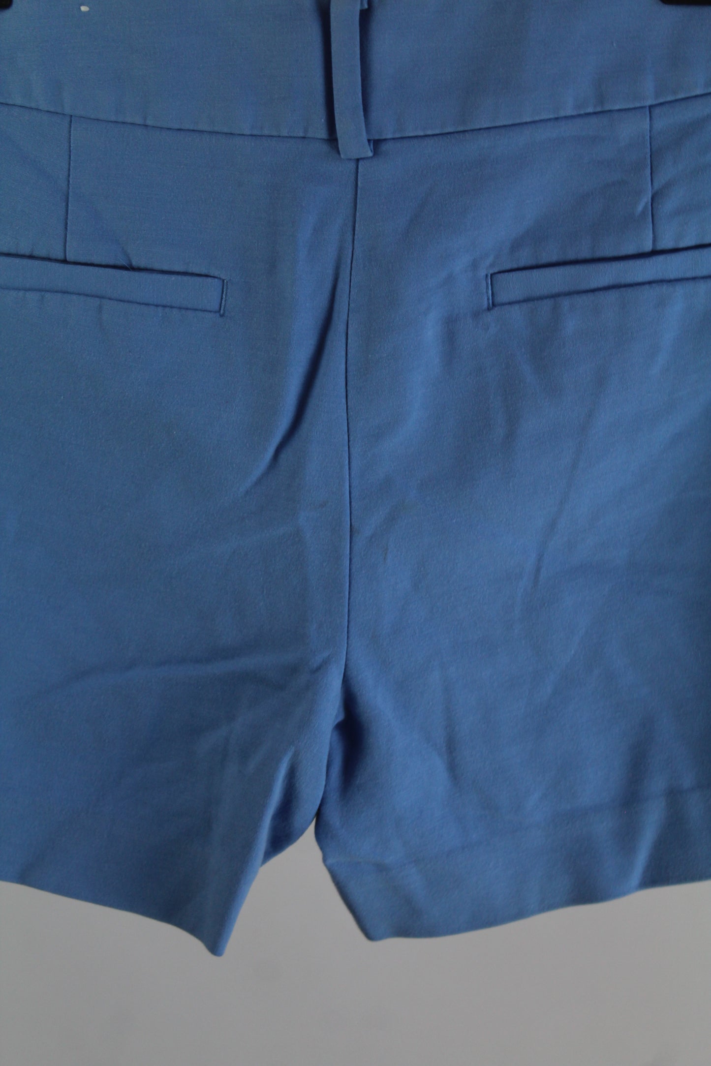 Anne Loft Light Blue Shorts Women's Size 4