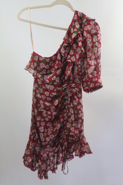 Women's Dark Pink Red/Pink Floral Dress Size 2